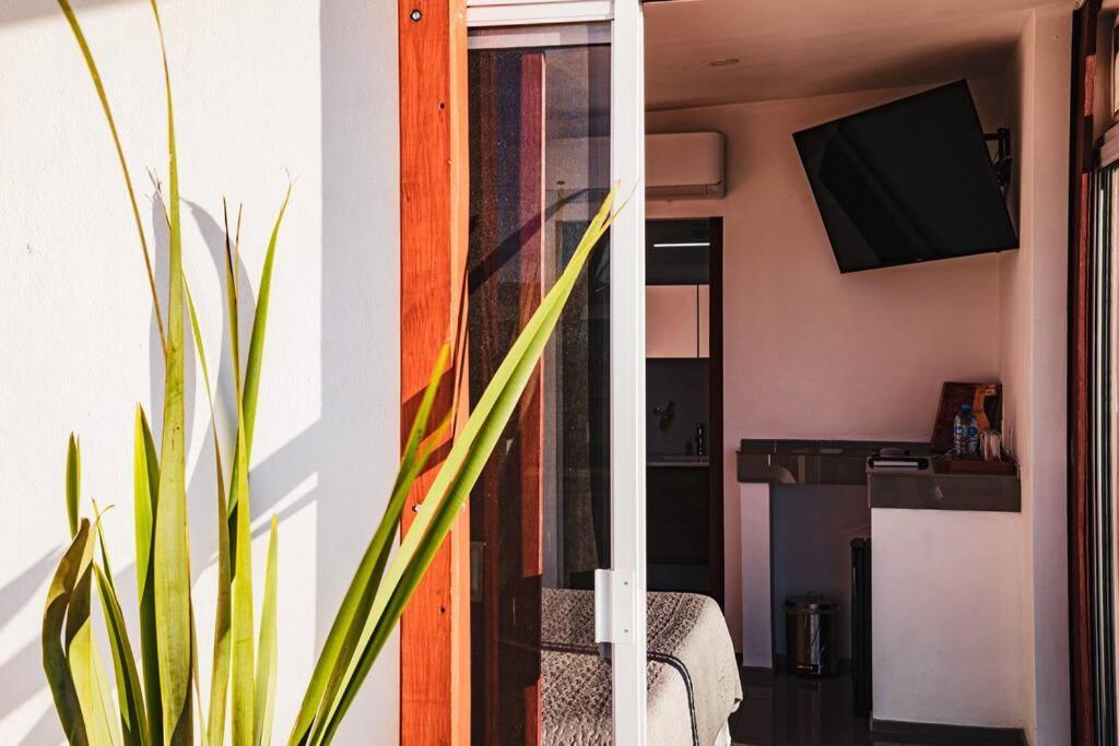 Cabana El Alamo Con Jacuzzi Villa Valle de Guadalupe Eksteriør bilde