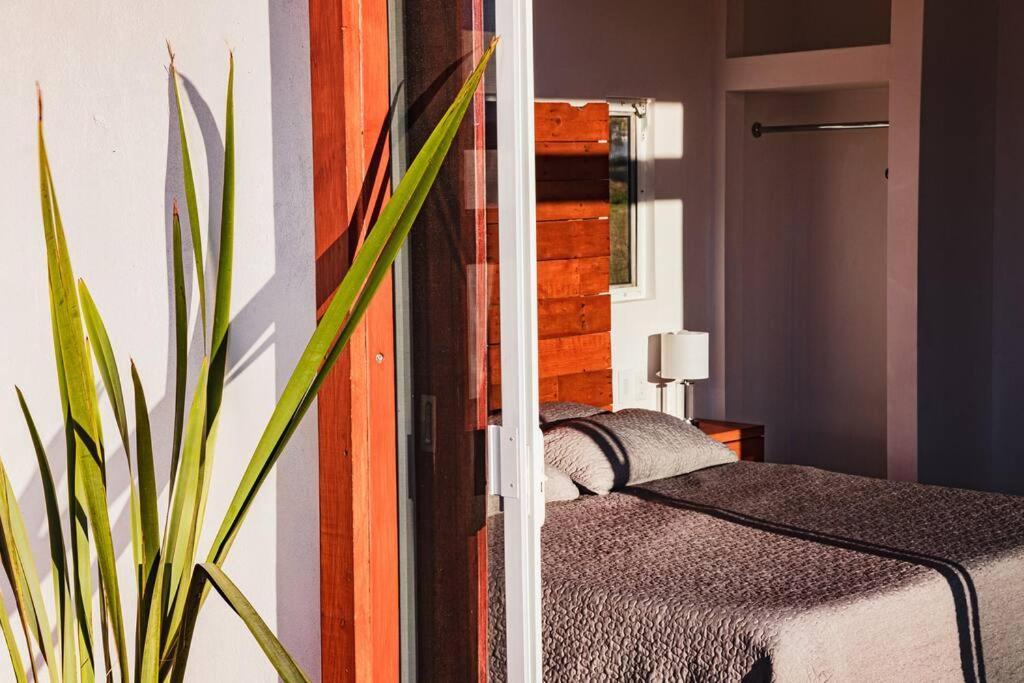 Cabana El Alamo Con Jacuzzi Villa Valle de Guadalupe Eksteriør bilde
